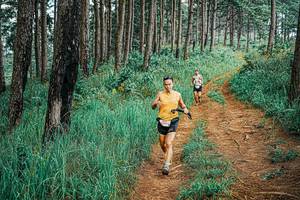 BIB: 
                            <button type="button" onclick="openModal(25702904)" class="btn btn-primary btn-sm float-right btn-popup" data-toggle="modal" data-target=".modal-high-quality">
                        <i class="fas fa-shopping-cart"></i> Add to Cart
                    </button>
                                            <button type="button" onclick="isThisMe(25702904, true)" class="btn btn-success btn-sm float-right btn-popup btn-isme hidden" data-toggle="tooltip" data-placement="bottom" title="นี่คือรูปของคุณใช่ไหม คลิกที่นี่เพื่อเอาเข้าอัลบั้ม">
                        <i class="fas fa-plus"></i> Add to album
                    </button>
                    <button type="button" onclick="isThisMe(25702904, false)" class="btn btn-warning btn-sm float-right btn-popup btn-isnotme hidden">
                        <i class="fas fa-ban"></i> Remove from album
                    </button>